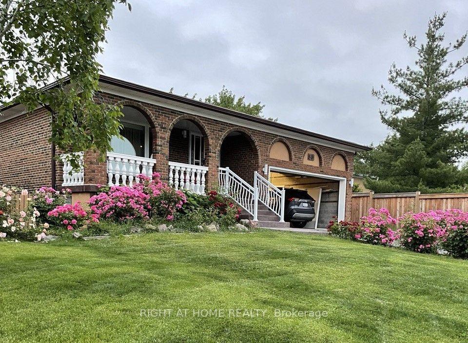 30 Lewis Drive Bsmt A #Bsmt A — photo 1
