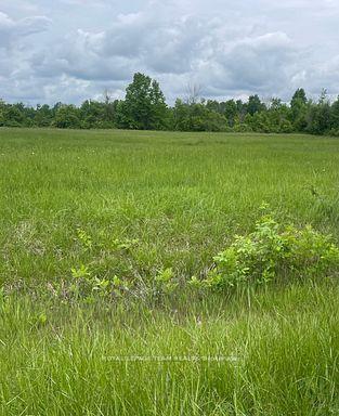 3447 Donnelly Drive, Manotick - Kars - Rideau Twp and Area — Land for sale, photo 1