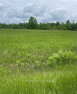 3447 Donnelly Drive N — photo 1