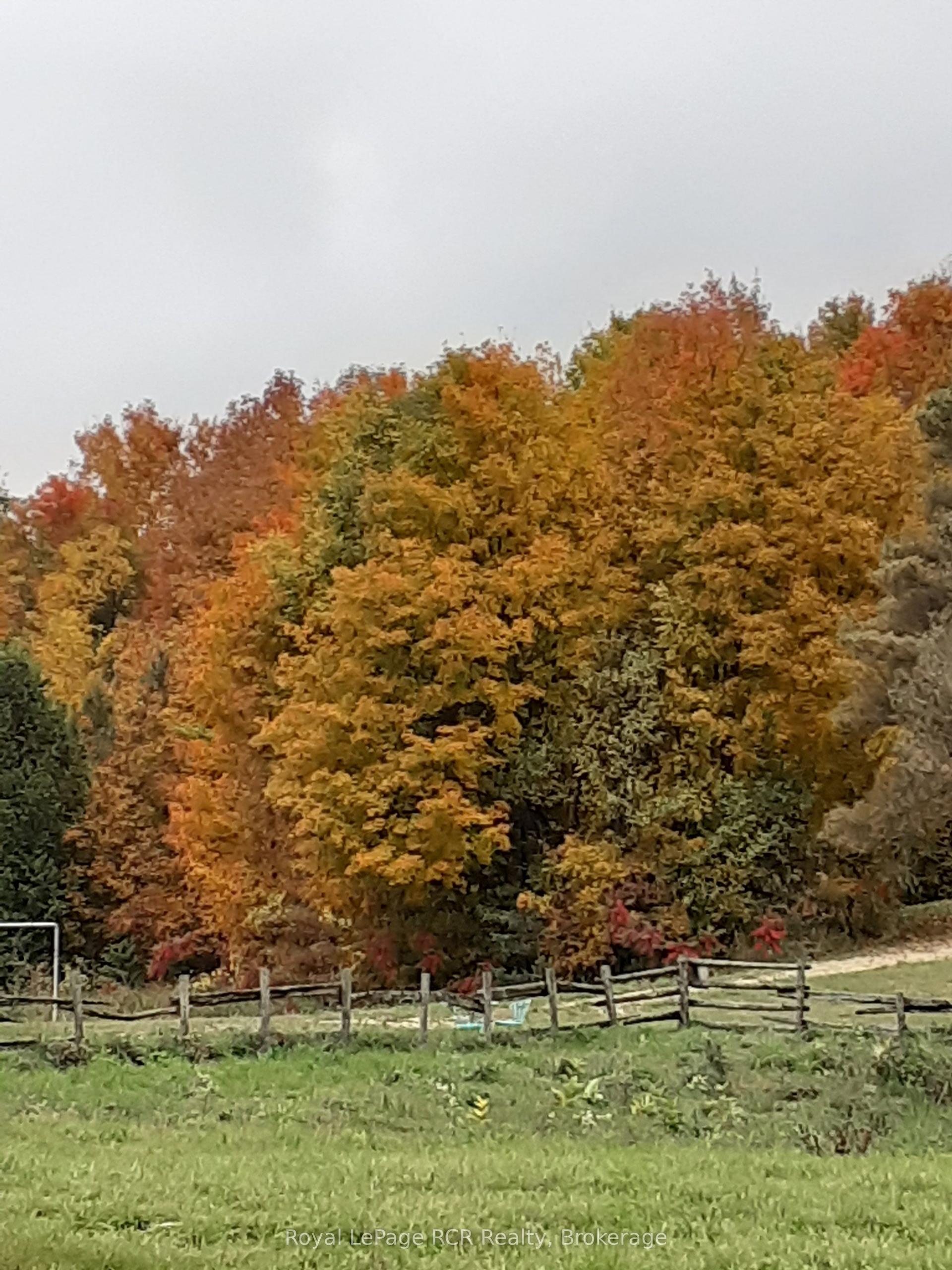 174715 Mulock Road — photo 1