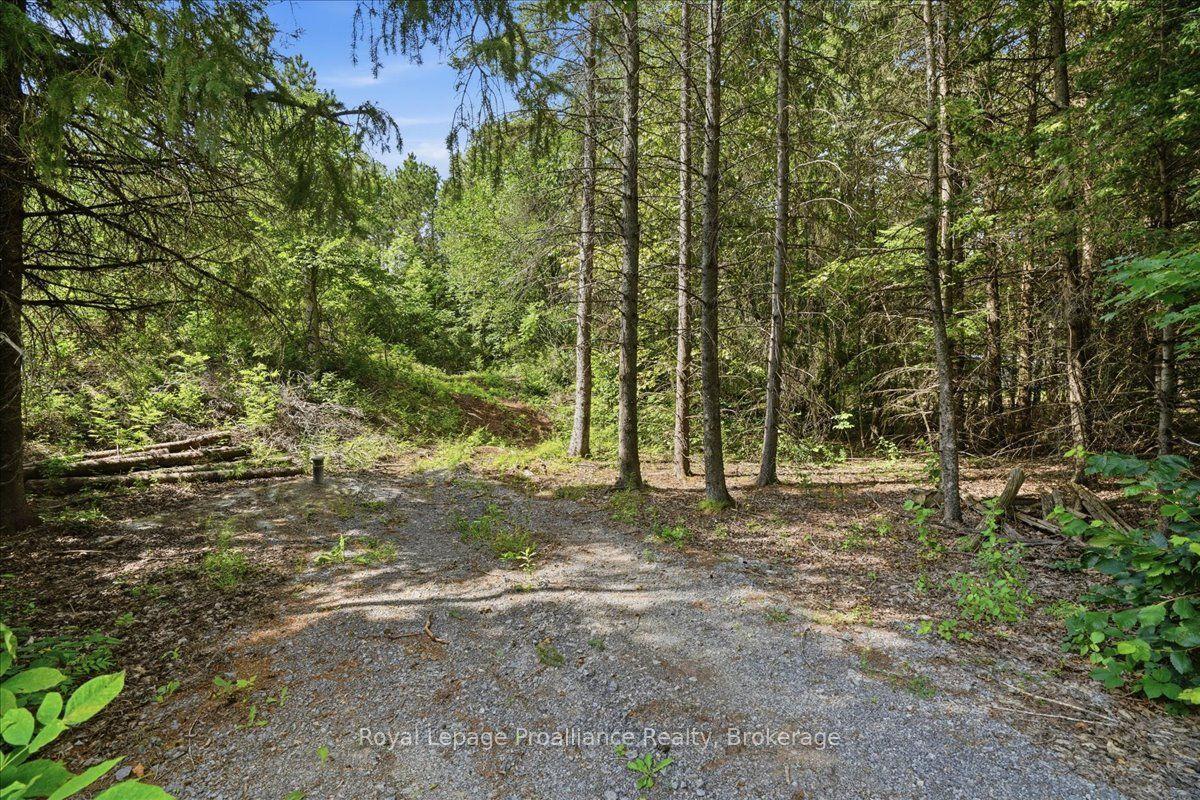 00 Otter Creek Road, Tweed — Land for sale, photo 1
