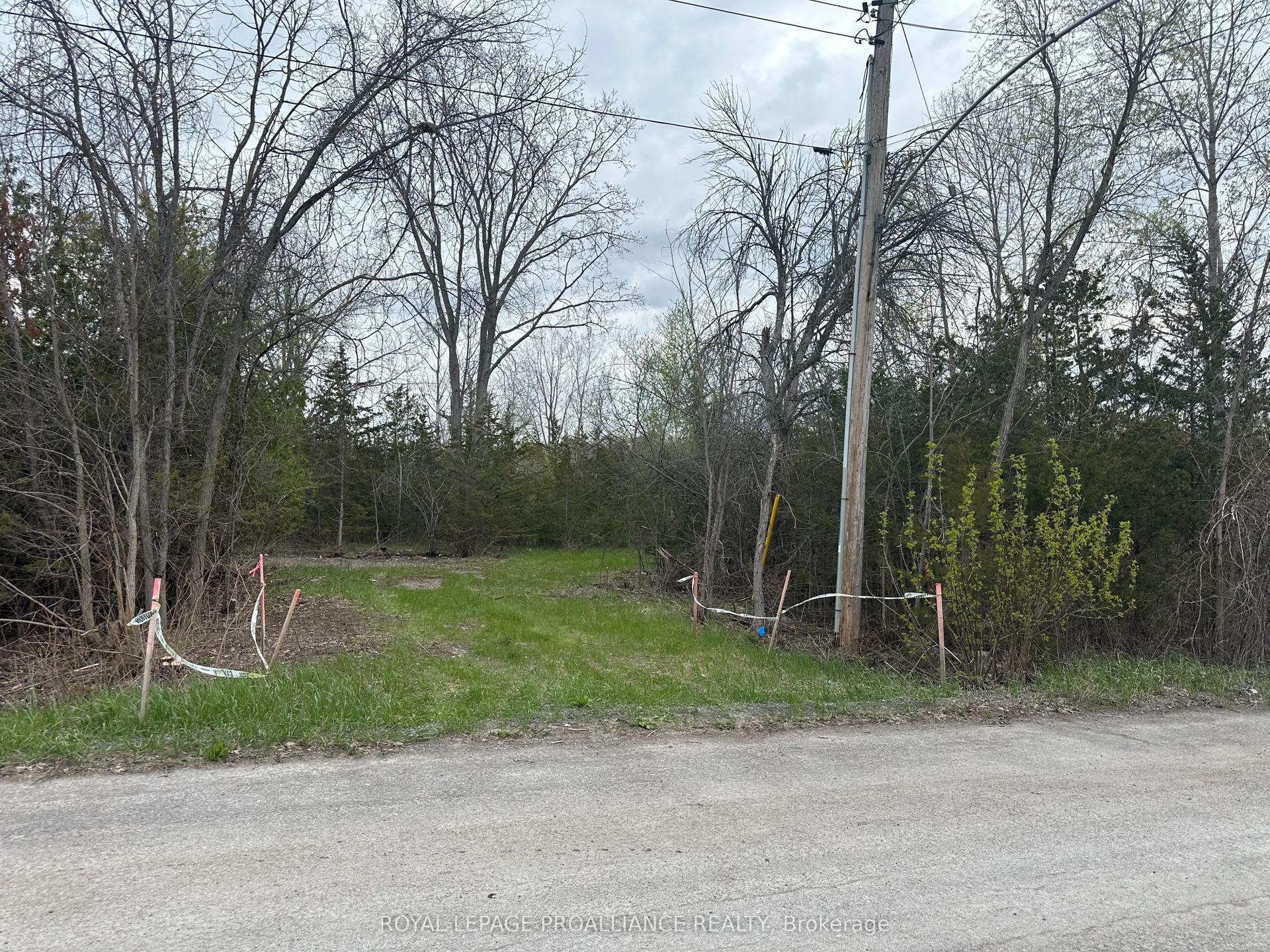 147 Peterson Street, Quinte West — Land for sale, photo 1