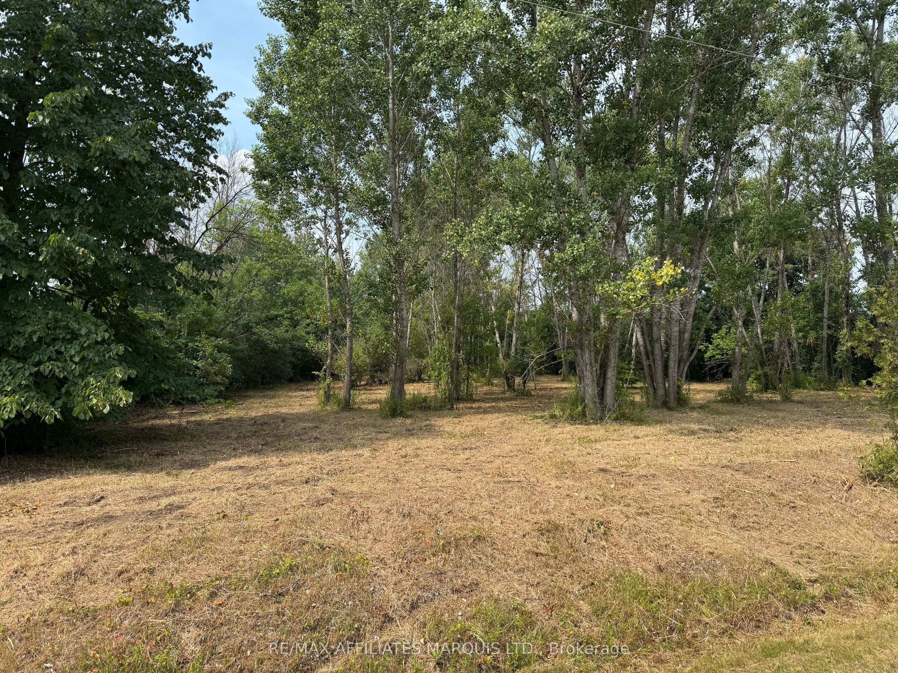 LOT Archer Road — photo 1