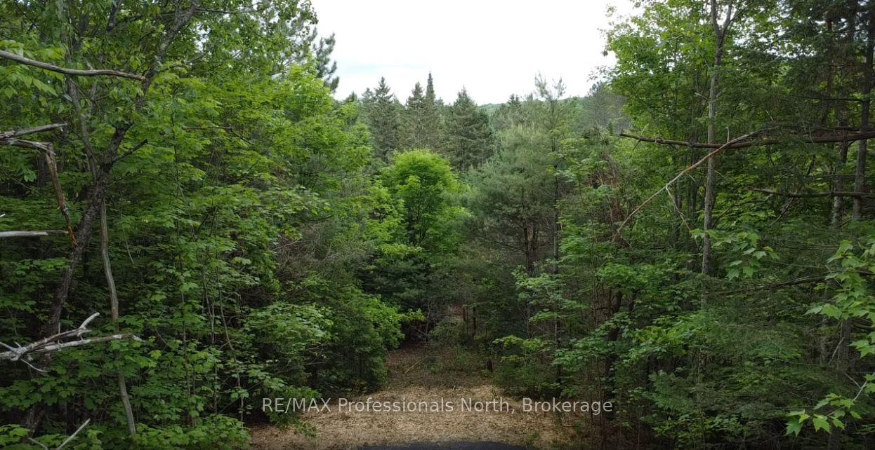 1325 Williamsport Road N — photo 1