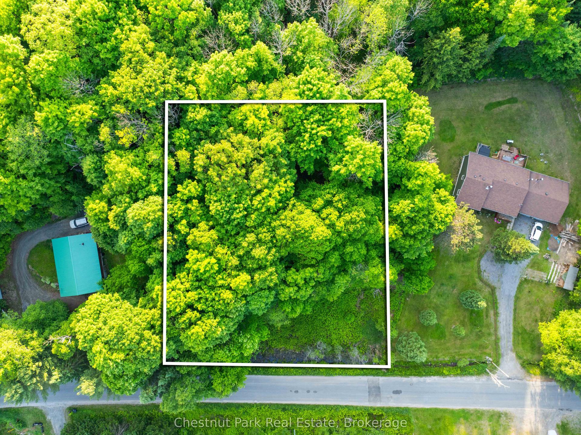 56 Vernon Lane — photo 1