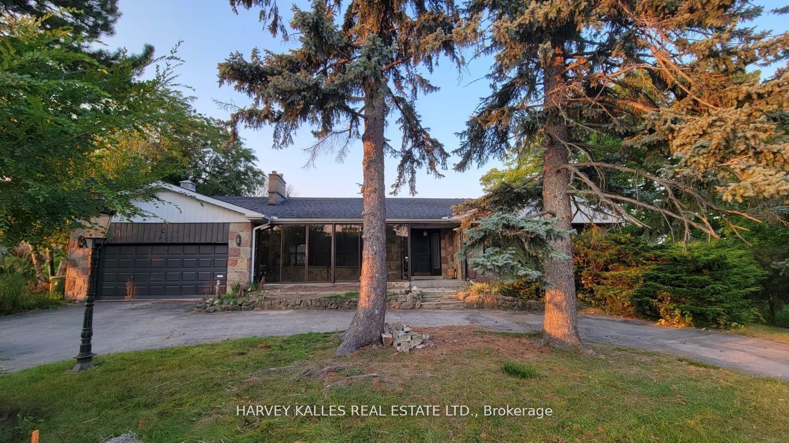 48 Forest Grove Drive Main #Main — photo 1