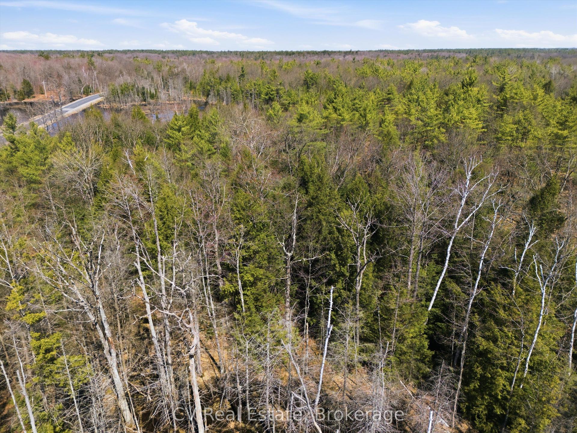 1673 Muskoka Rd 38 N/A — photo 1