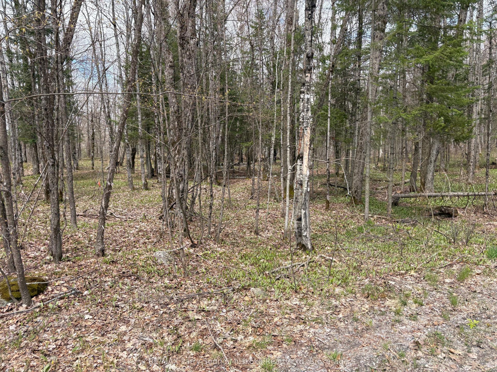 0 Dauncey Road — photo 1