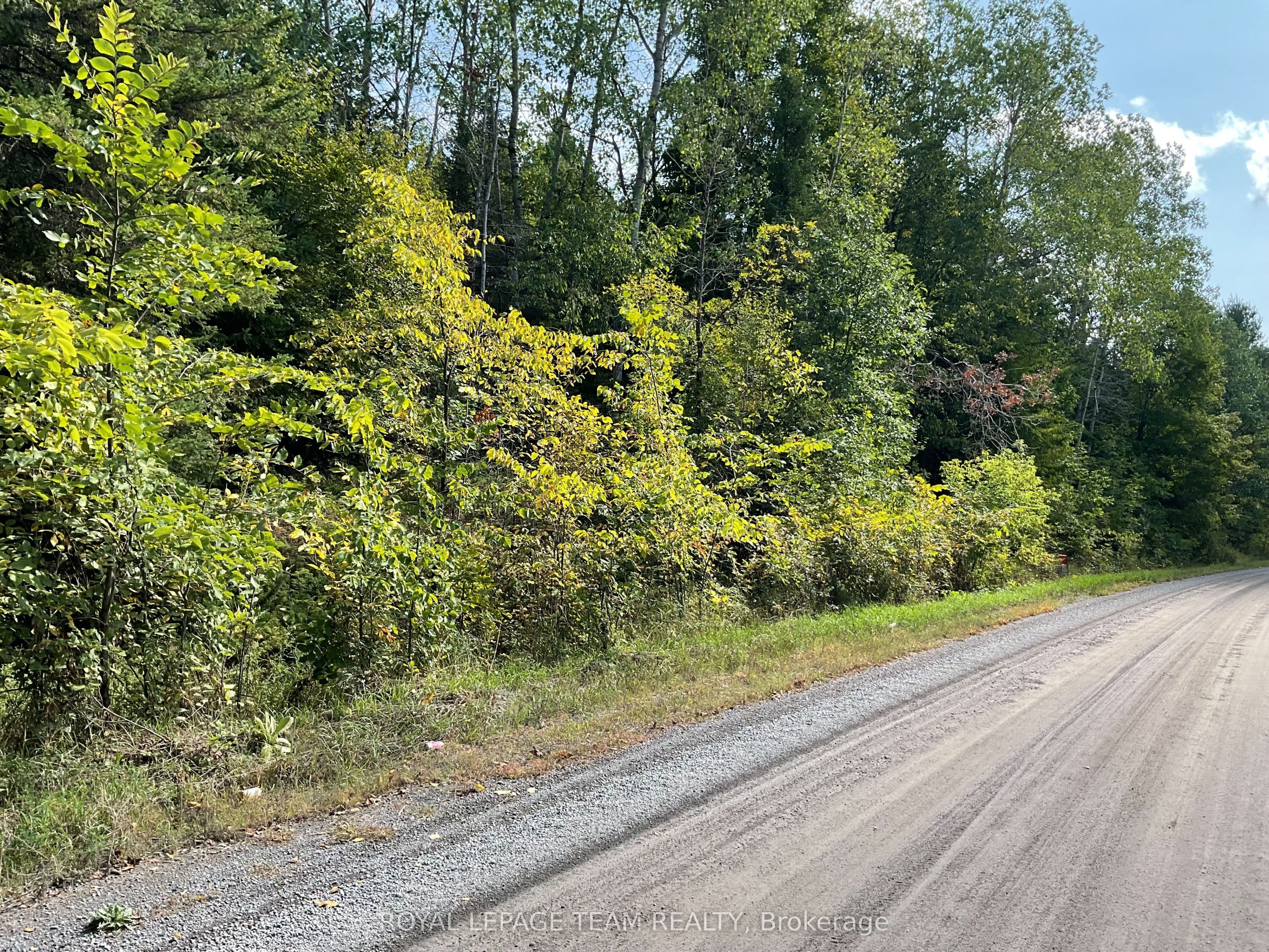 1170 BELLAMY Road — photo 1