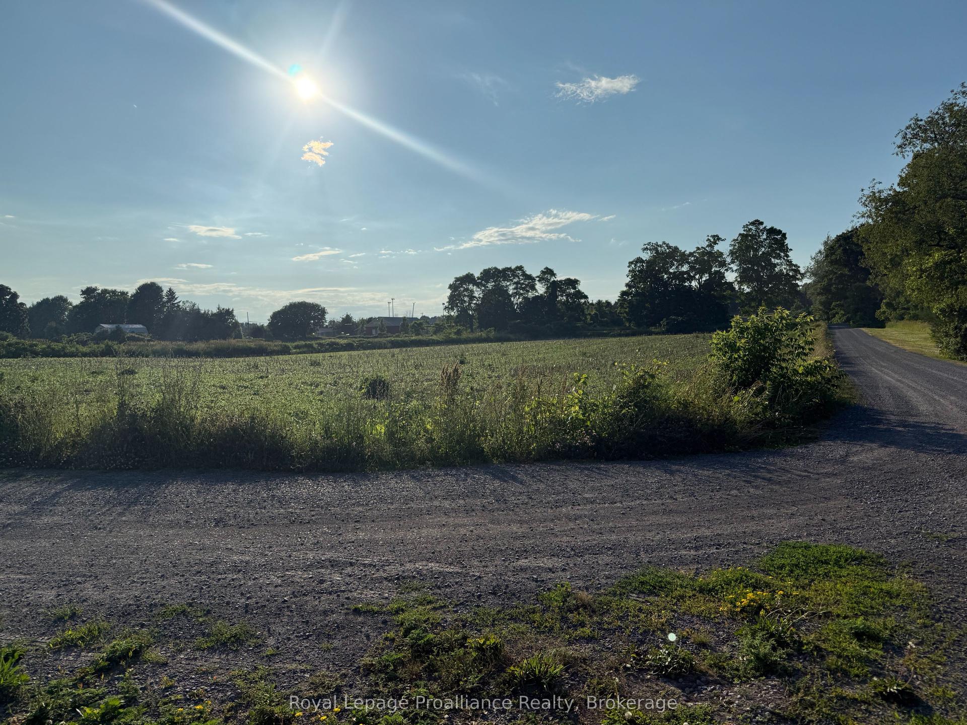 00 County Road 8 N/A, Prince Edward County — Land for sale, photo 1