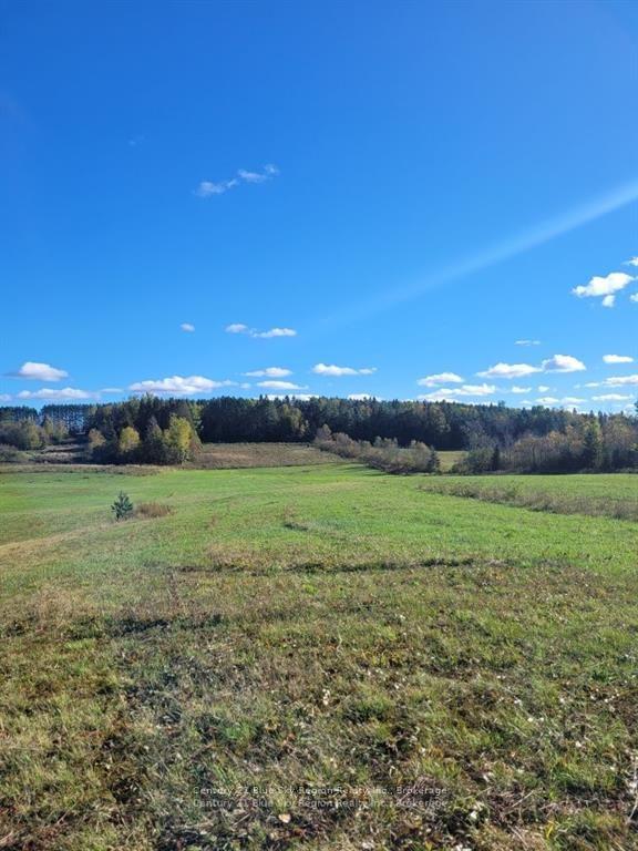 PT LT 33 CON 5 Hummel Line — photo 1