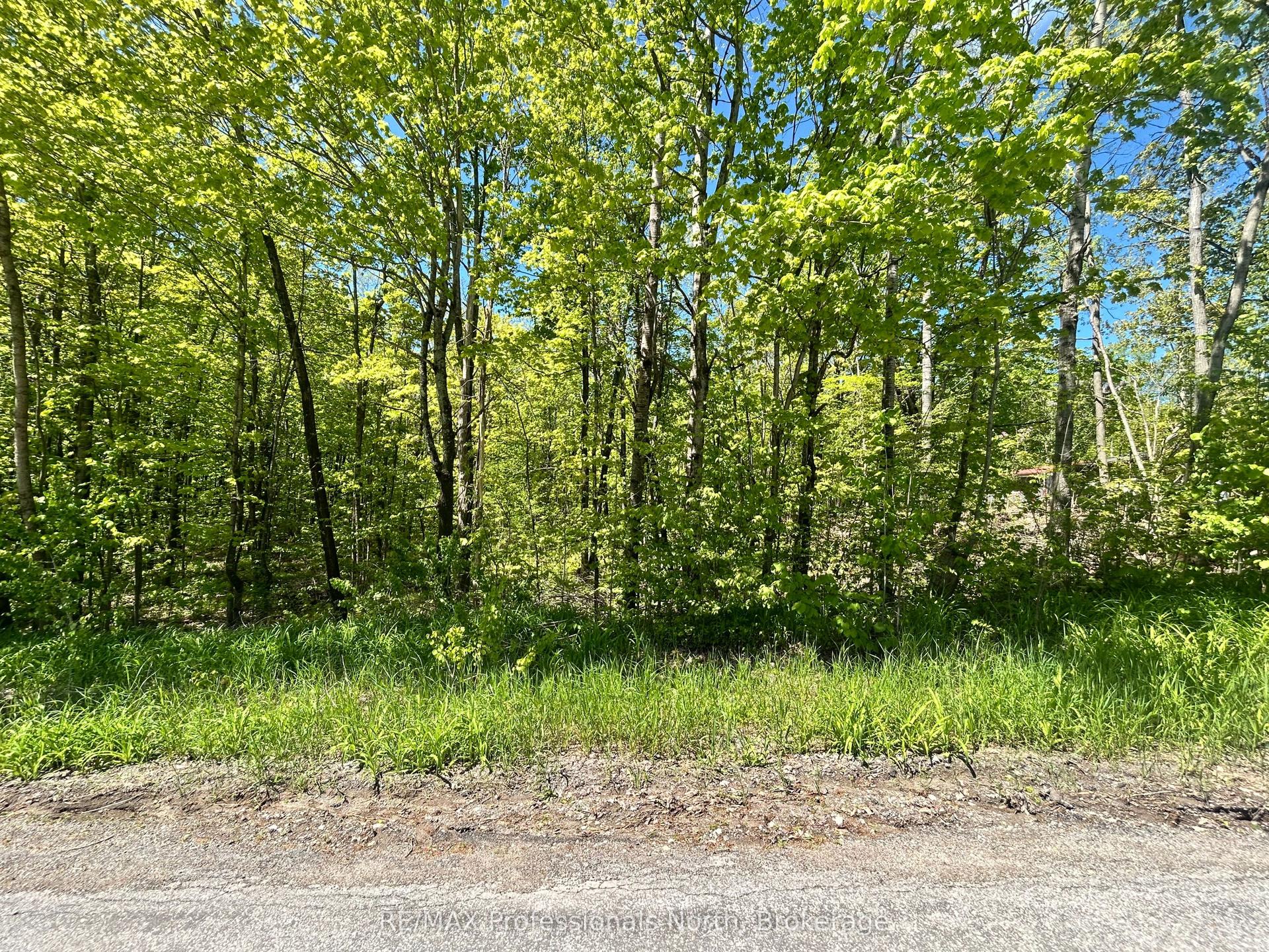 57 O'brien Street — photo 1