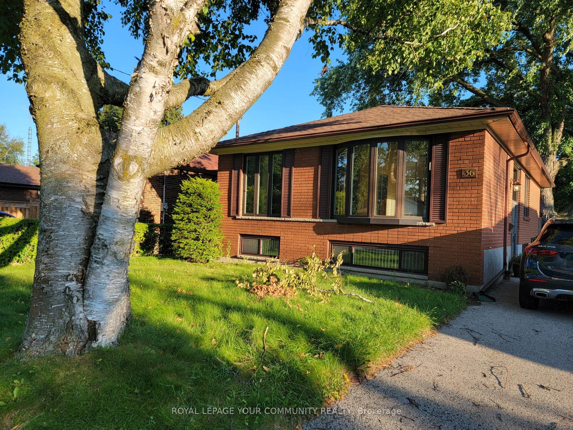 36 Melchior Drive Bsmt #1 #Bsmt #1, Toronto — Detached for lease, photo 1