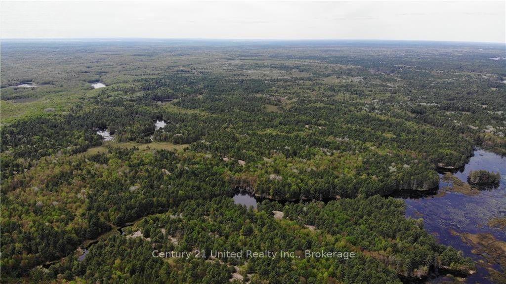 LT 9 N 1/2 LT 10 CON 13, Kawartha Lakes — Land for sale, photo 1