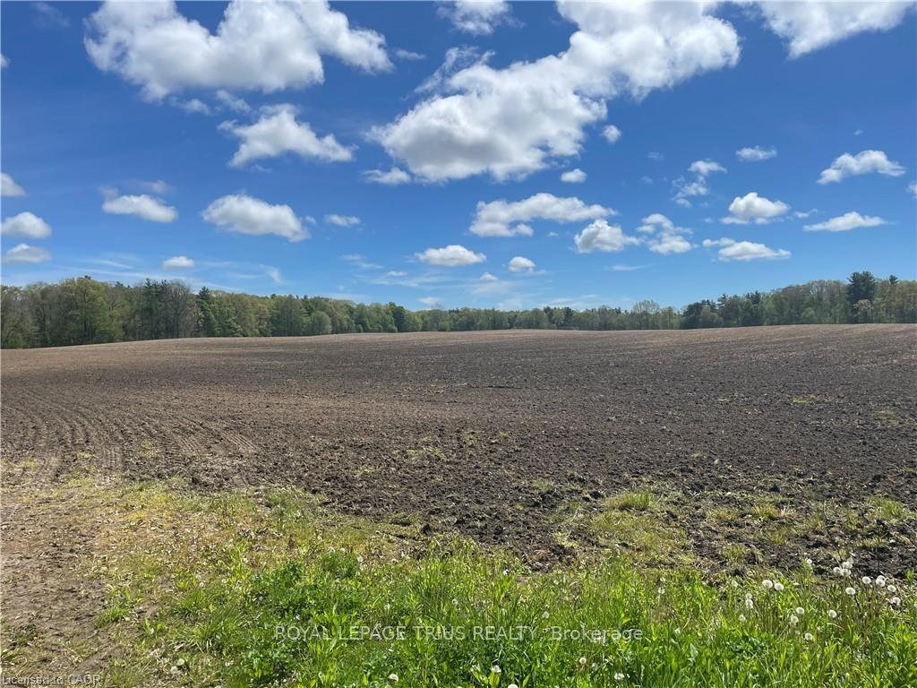 PT LT 4 Concession 10 Road, Norfolk — Land for sale, photo 1