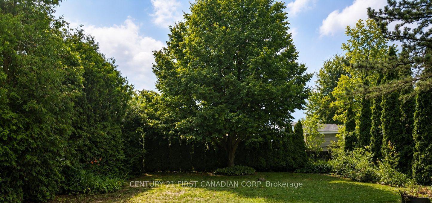 79681 Bluewater Highway 57 #57, Central Huron — Land for lease, photo 1