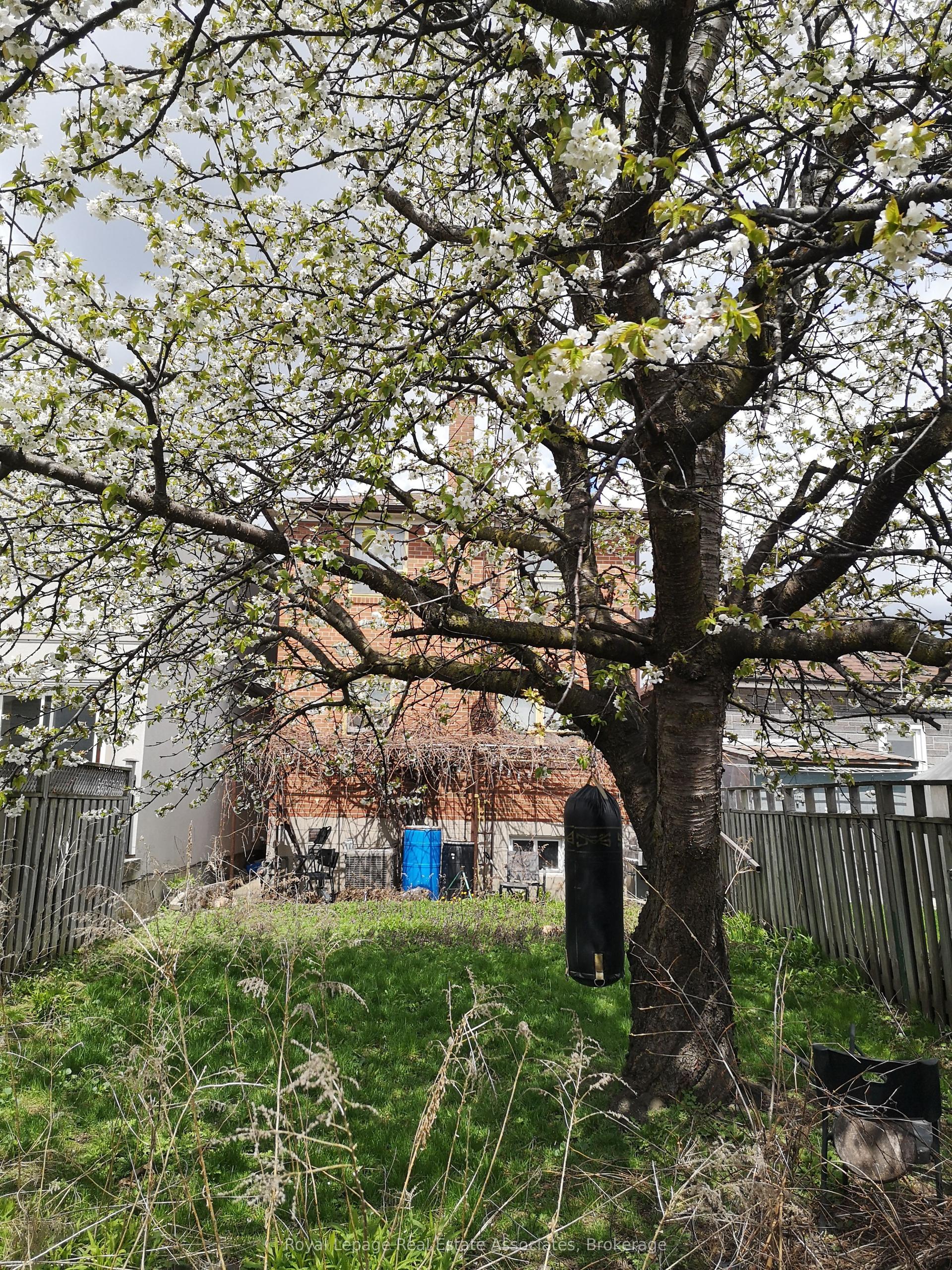 5 Homeview Avenue — photo 1