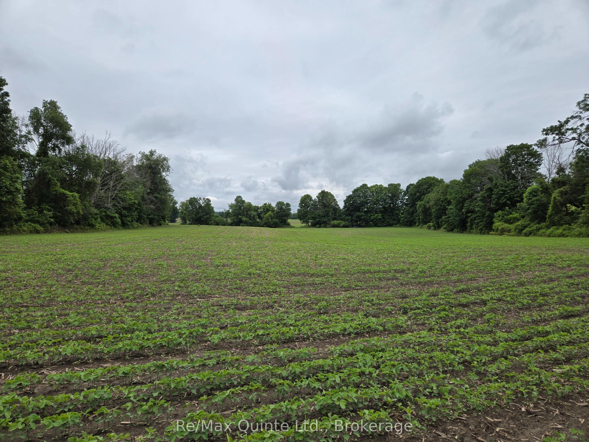 0 Marrisett Road — photo 1