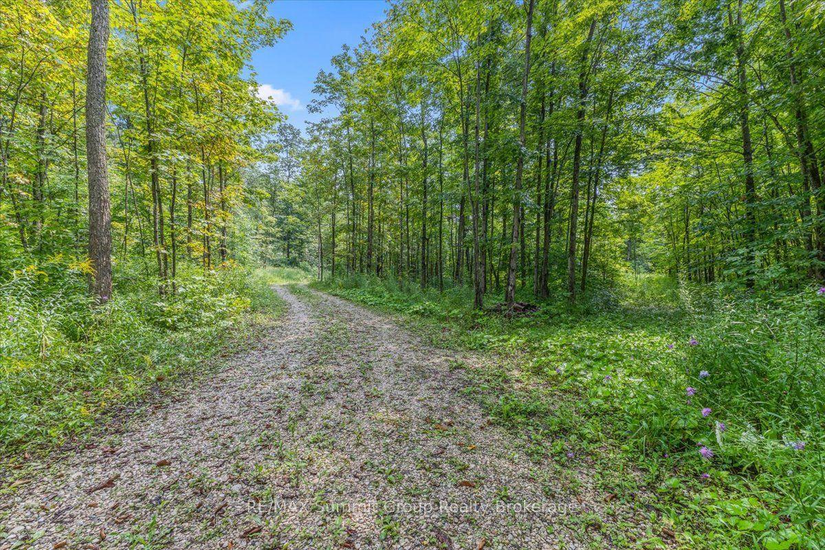 PT LT 4 Concession Road 8, West Grey — Land for sale, photo 1