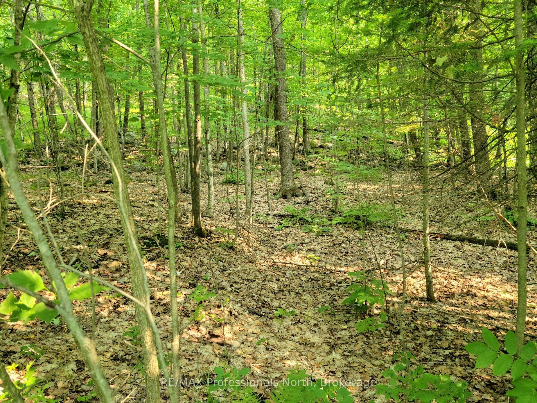 32 MOUNT VERNON Trail 22 #22, Huntsville — Land for sale, photo 1