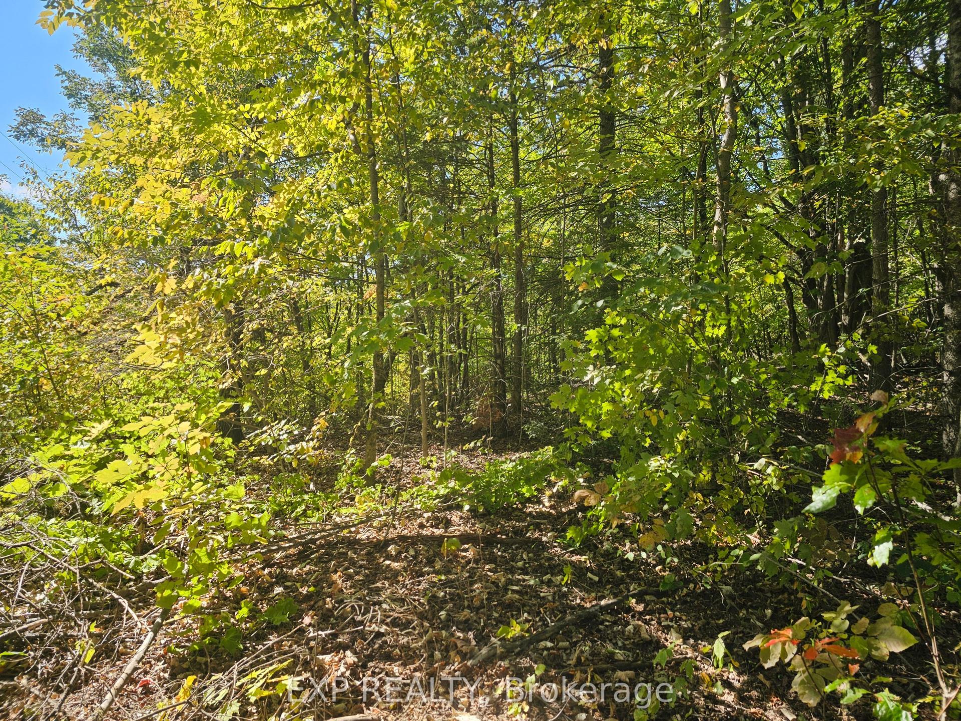 Part Lot 32 and 33 Part 2 Conc 1 Concession, Minden Hills — Land for sale, photo 1