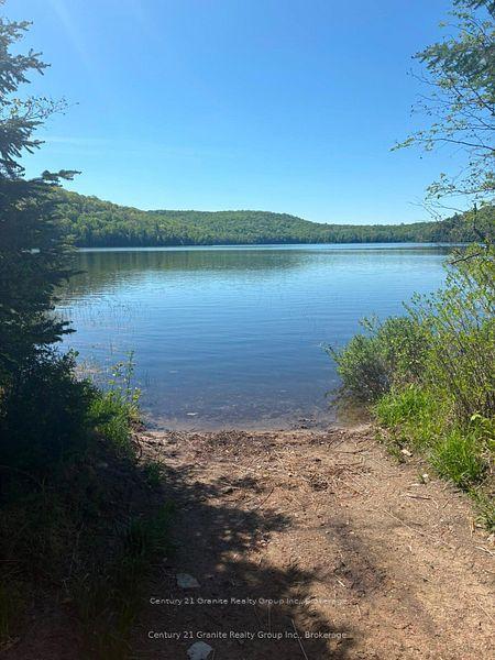 371 Albion Lake Drive, Faraday — Land for sale, photo 1
