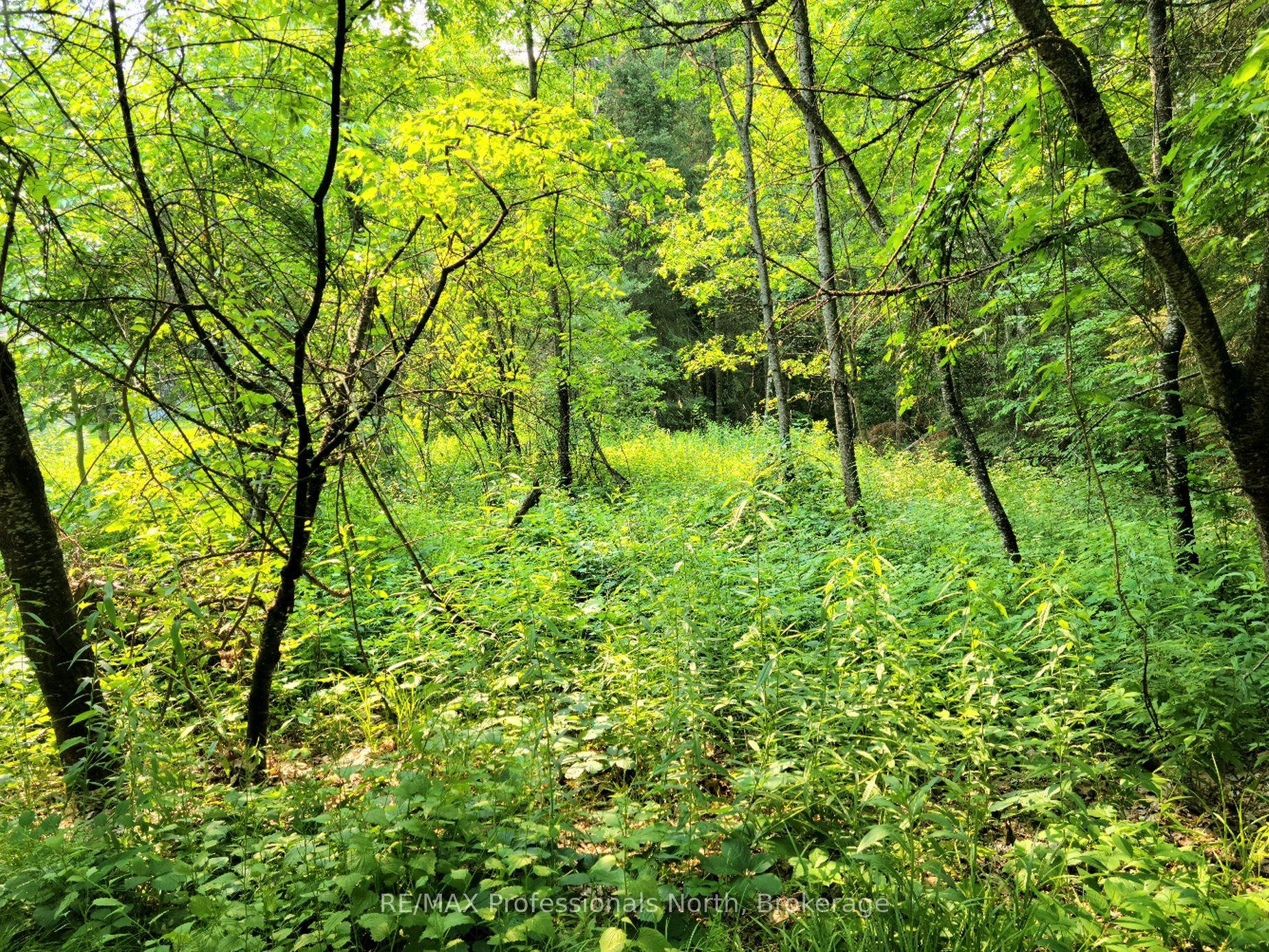 35 MOUNT VERNON Trail 26 #26, Huntsville — Land for sale, photo 1