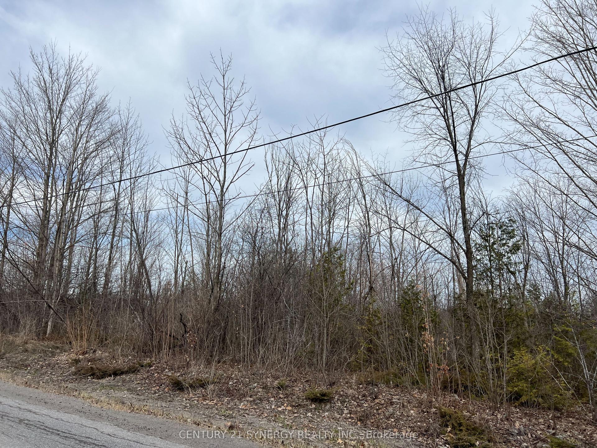 000 ARMSTRONG Road LOT #1 #LOT #1 — photo 1