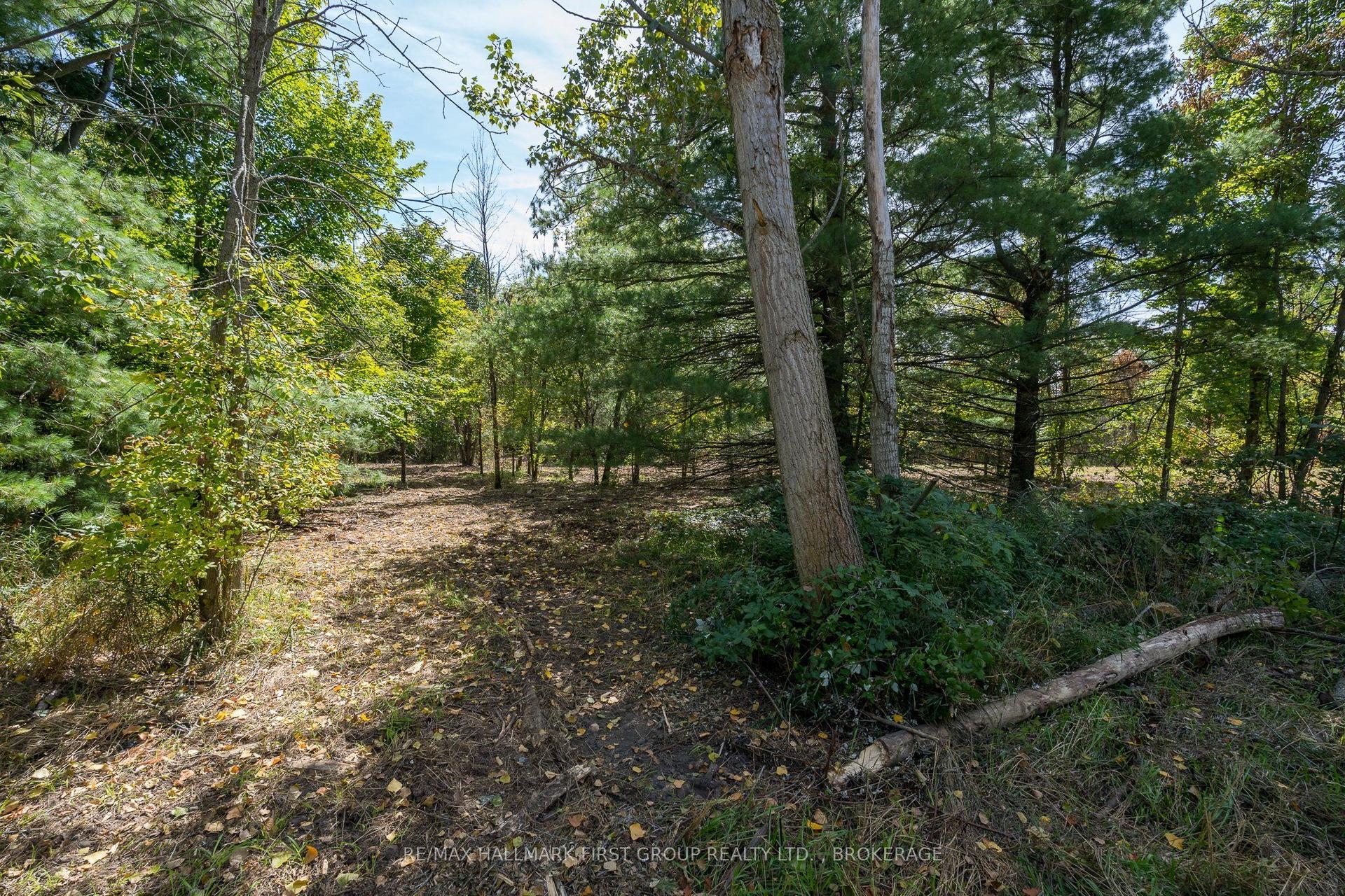 00 Palace Road, Greater Napanee — Land for sale, photo 1