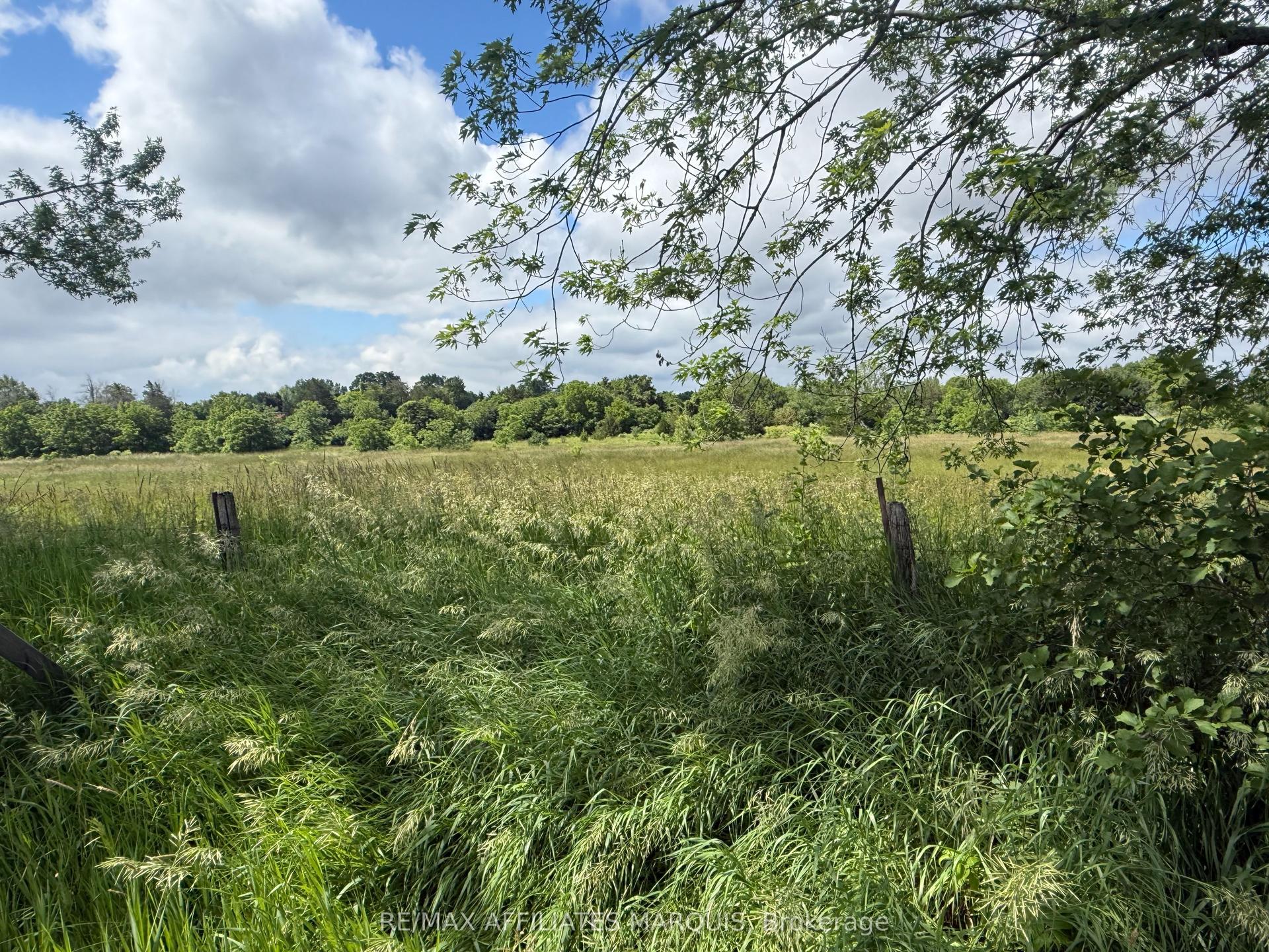 231 WELLINGTON ( PIN-451060369) Street, Greater Napanee — Land for sale, photo 1