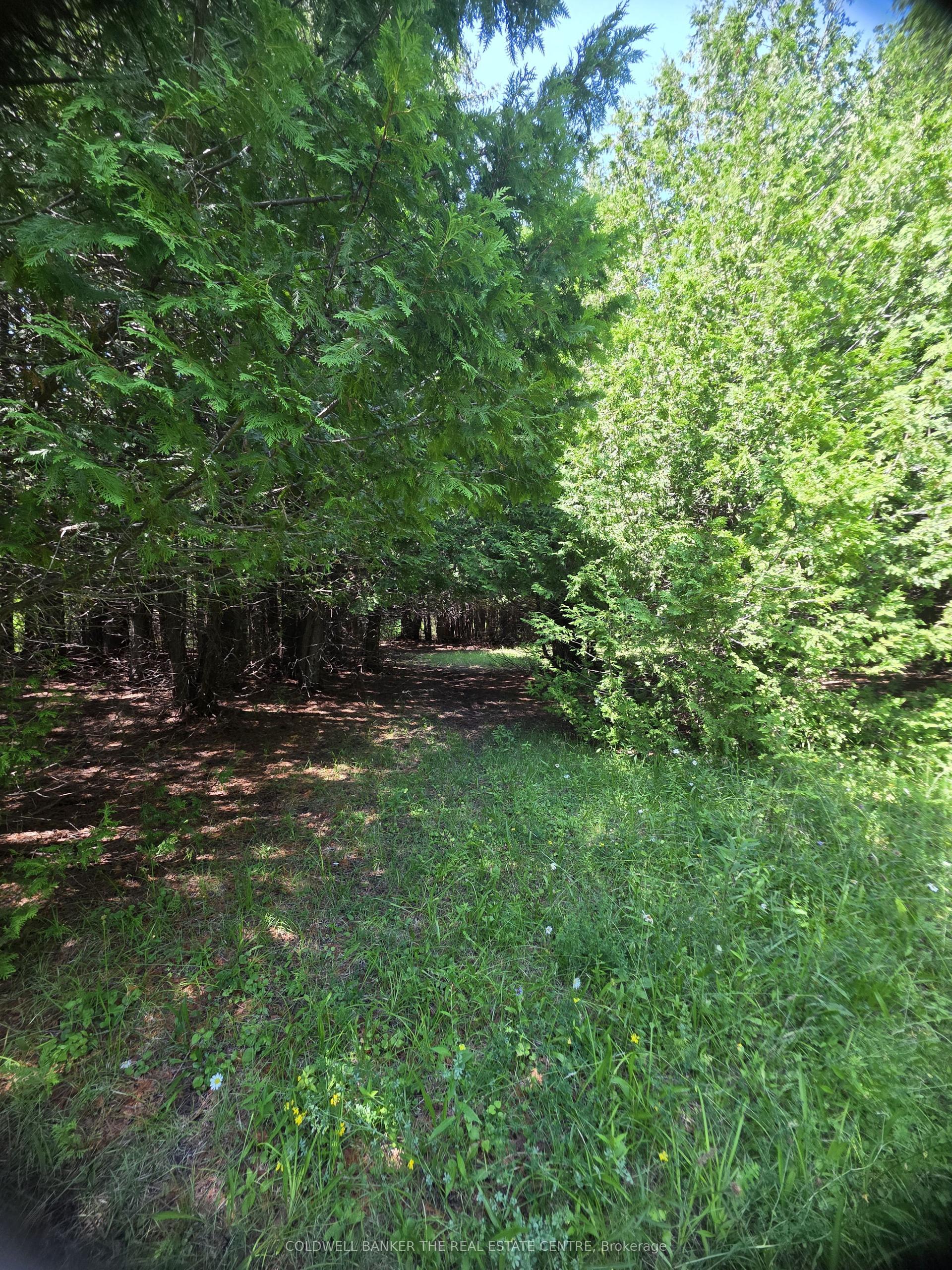 N/A Government Road W, Tehkummah — Land for sale, photo 1