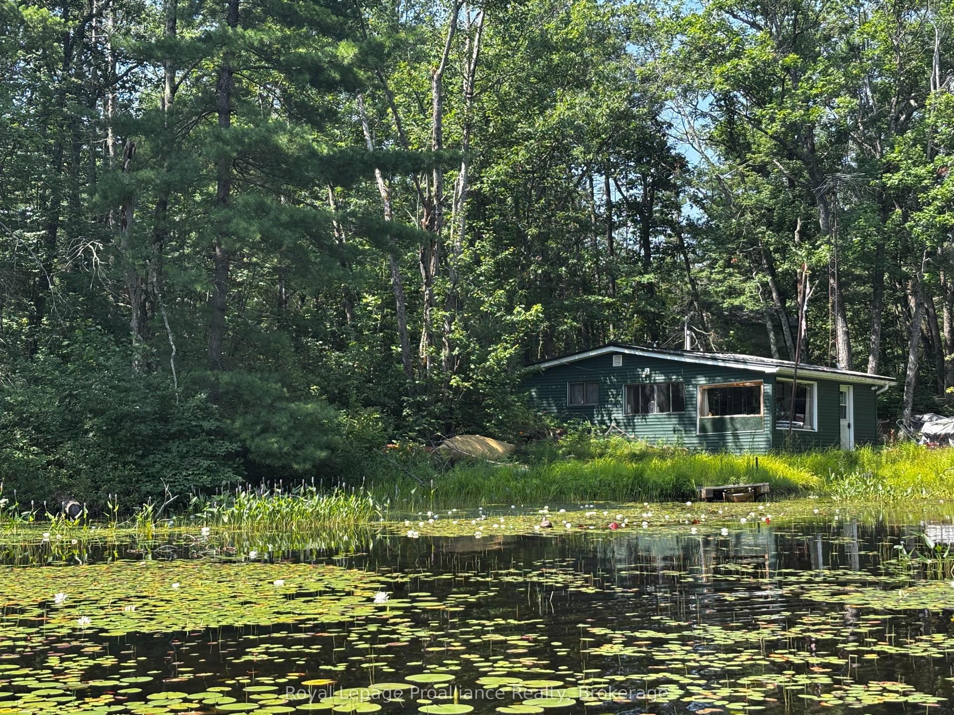 224 Fire Route 91, Havelock-Belmont-Methuen — Detached for sale, photo 1