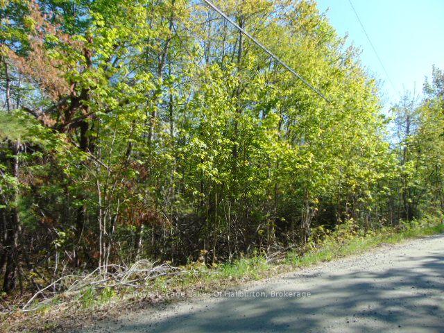 Lot 11 Plan 580 North Drive, Dysart et al — Land for sale, photo 1