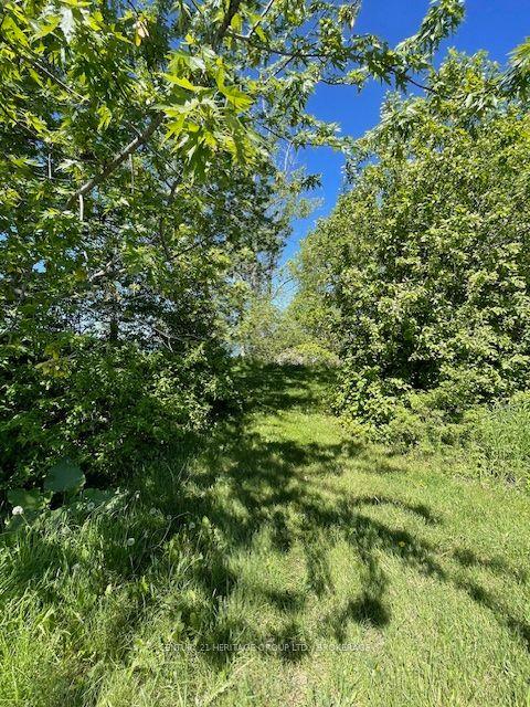 00 10th Line Road — photo 1