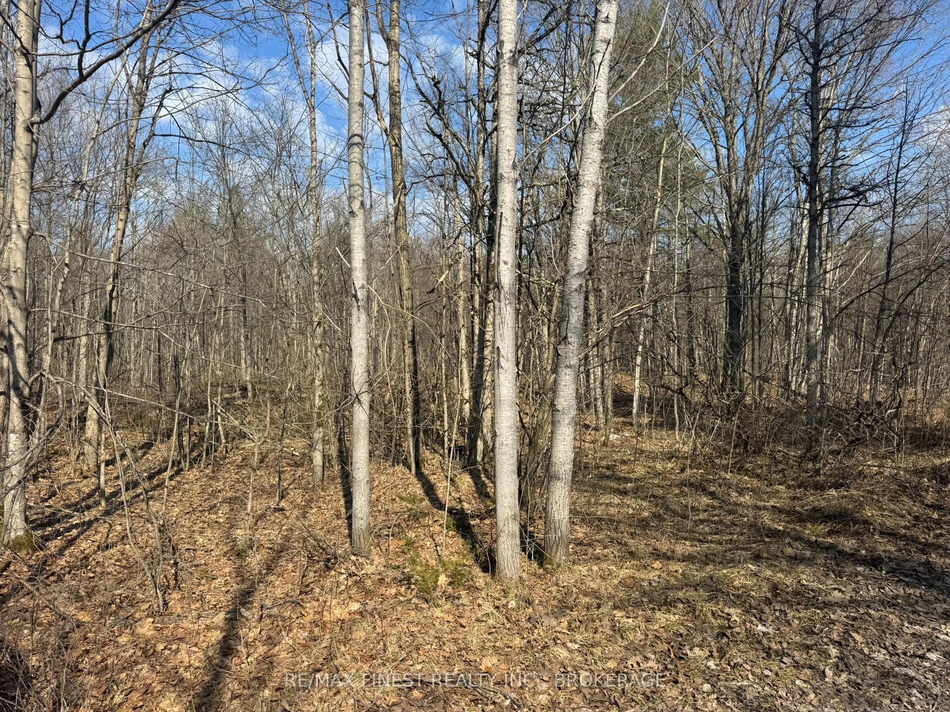 0 CALIFORNIA Road — photo 1