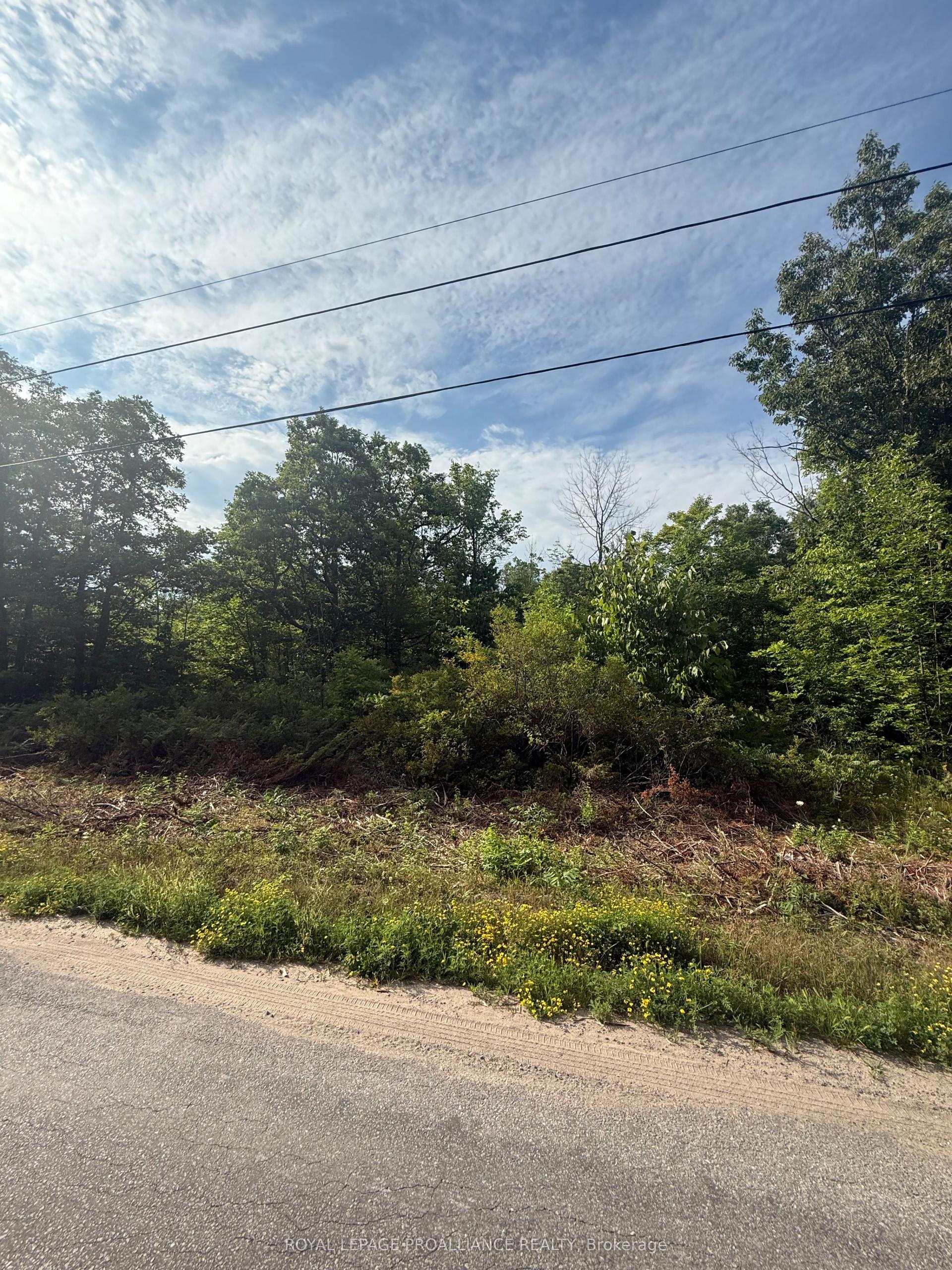 0 Rockhaven Road, Marmora and Lake — Land for sale, photo 1