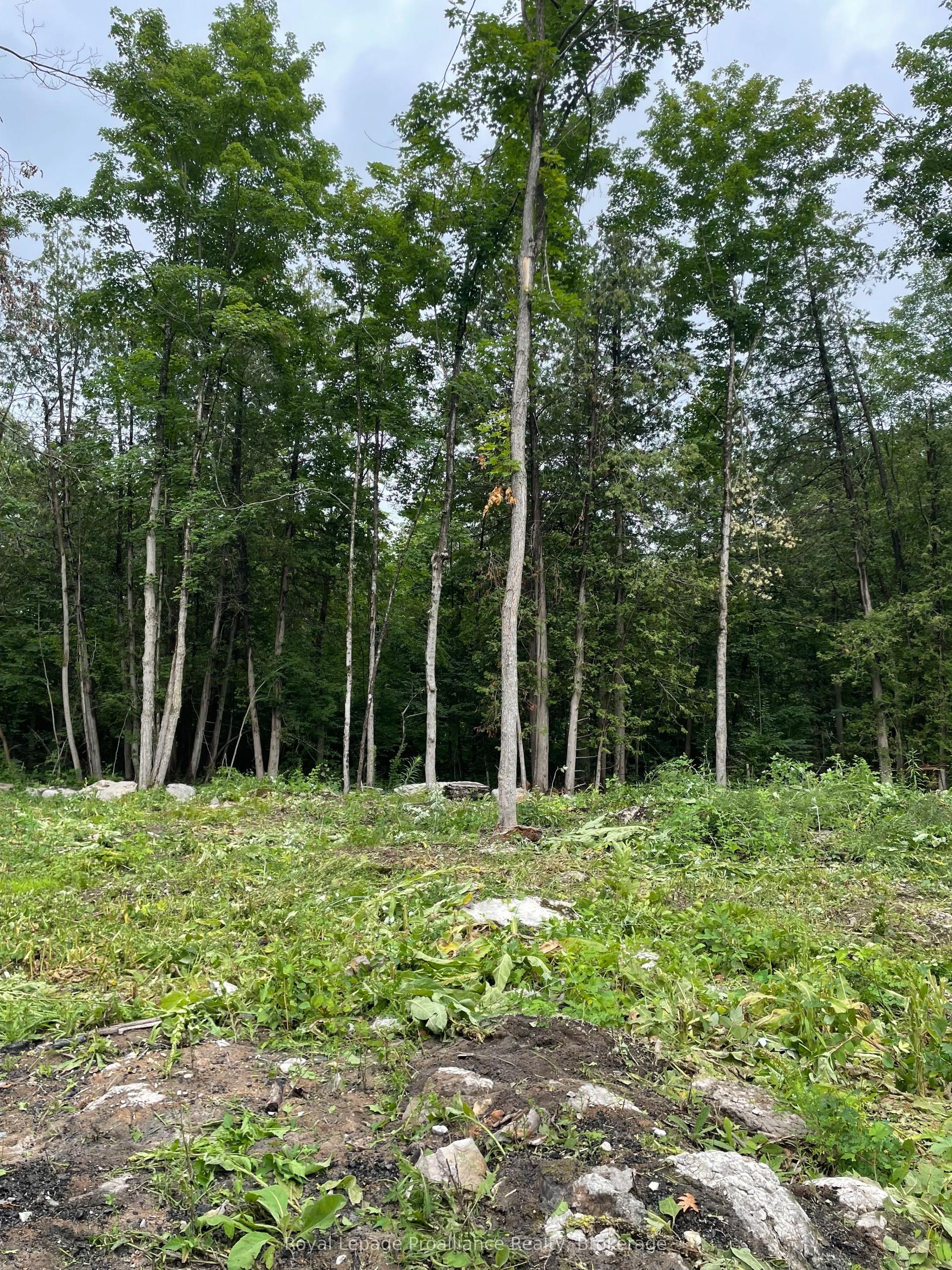 378 Station Road, Marmora and Lake — Land for sale, photo 1