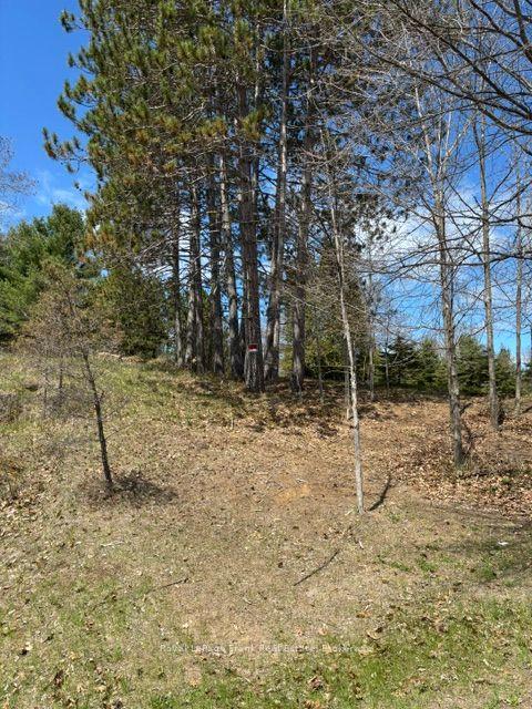 26686 Highway 62 N/A S — photo 1