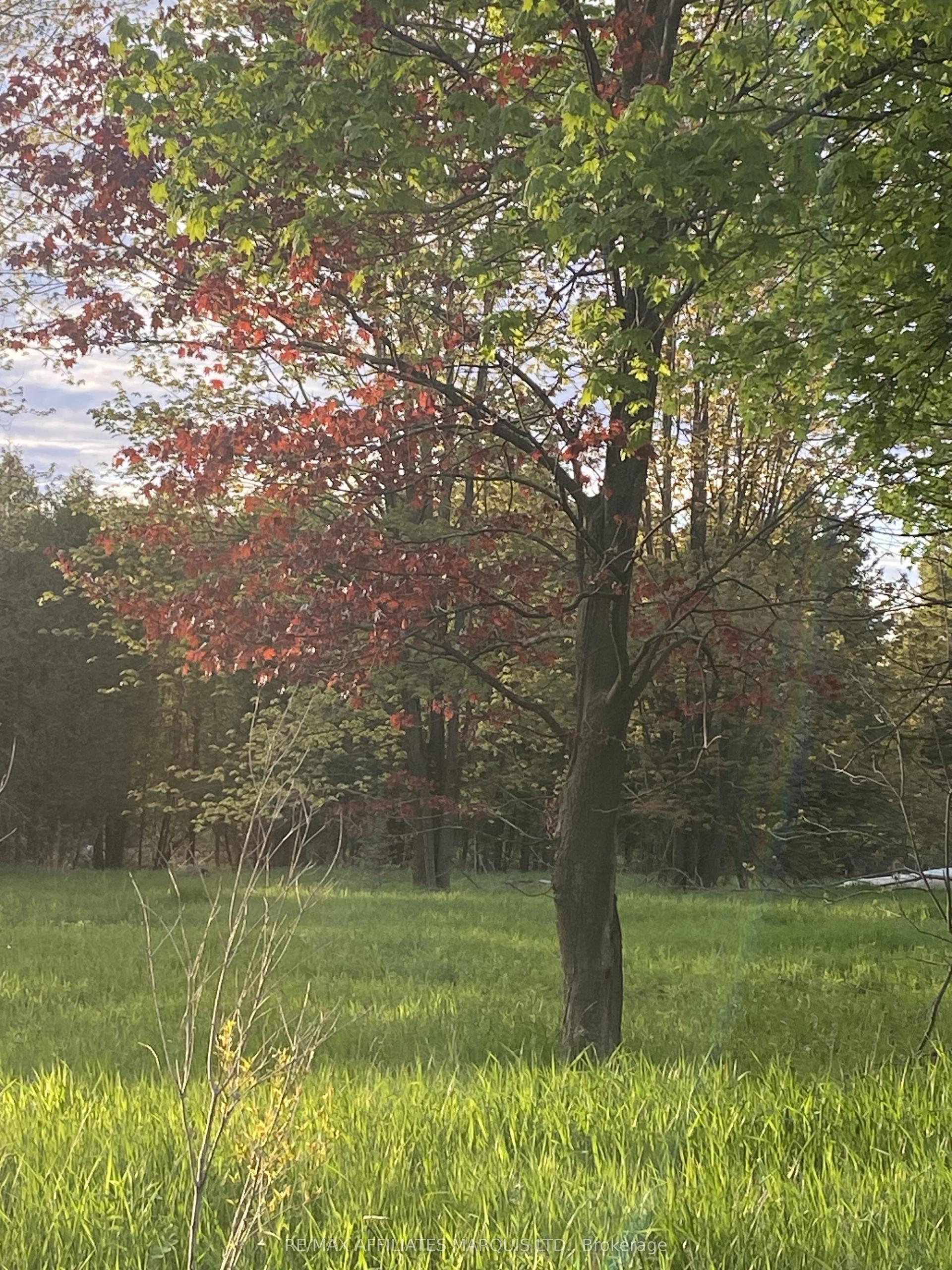 LOT Sapphire Drive — photo 1