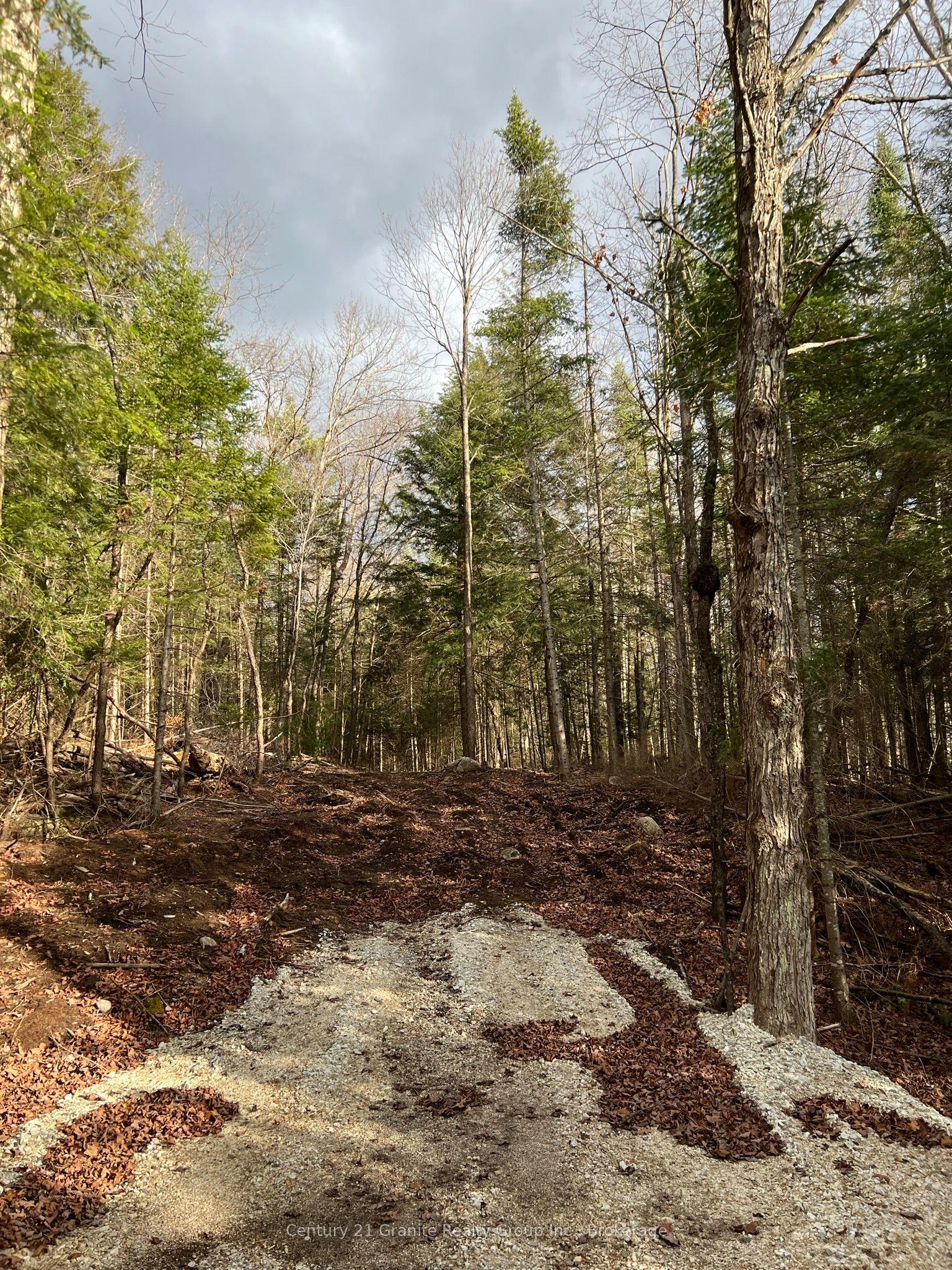 LOT 27 BUSHWOLF LAKE Road — photo 1