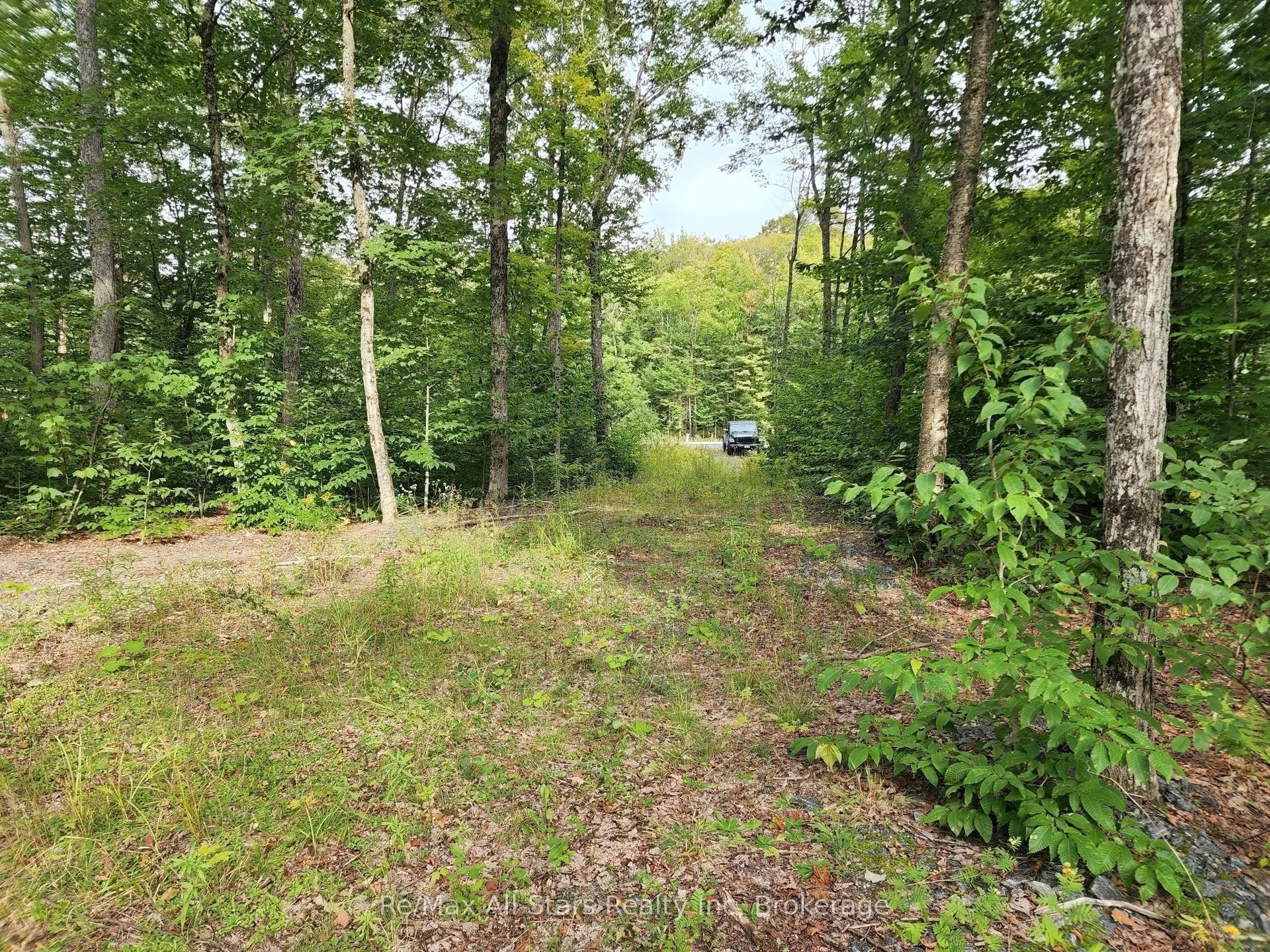 3480 Brunel Road, Lake of Bays — Land for sale, photo 1