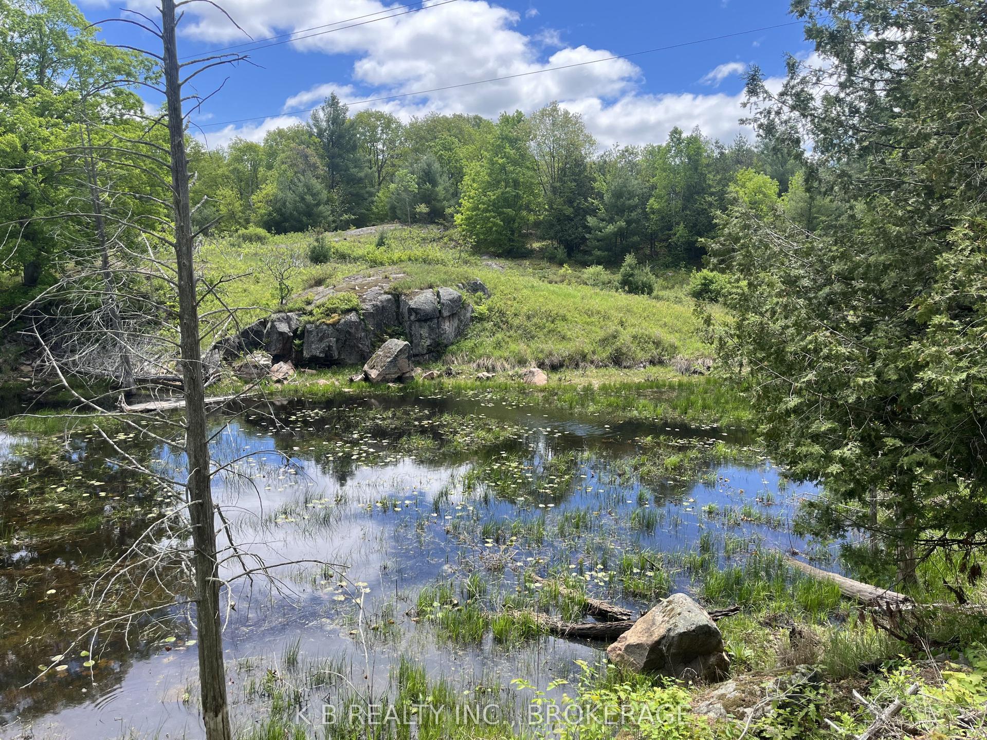 2970 Mountain Road, Stone Mills — Land for sale, photo 1