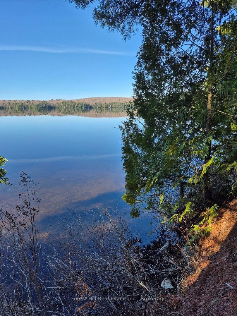 2193 Fern Glen Road S, McMurrich/Monteith — Land for sale, photo 1