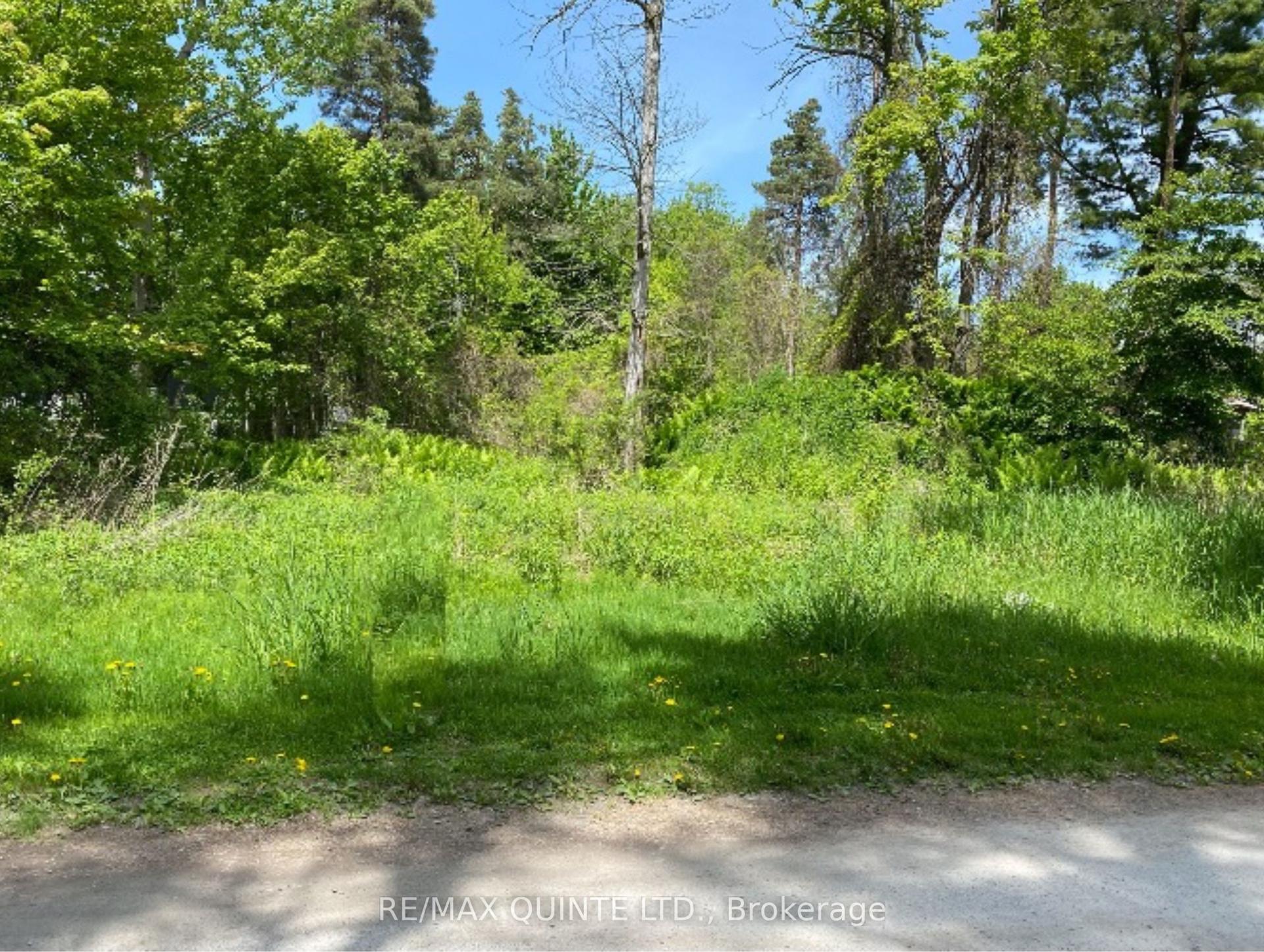 149 Evergreen Lane, Brighton — Land for sale, photo 1