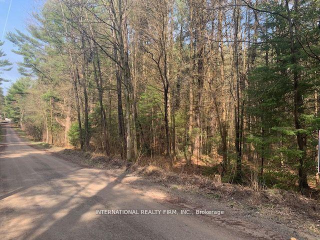 0 The Ave Road N — photo 1