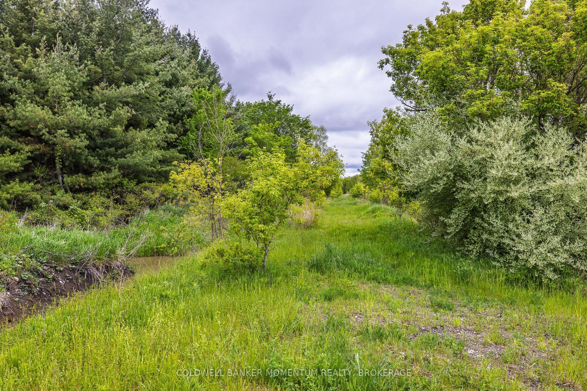 1969 Hutchinson Road — photo 1