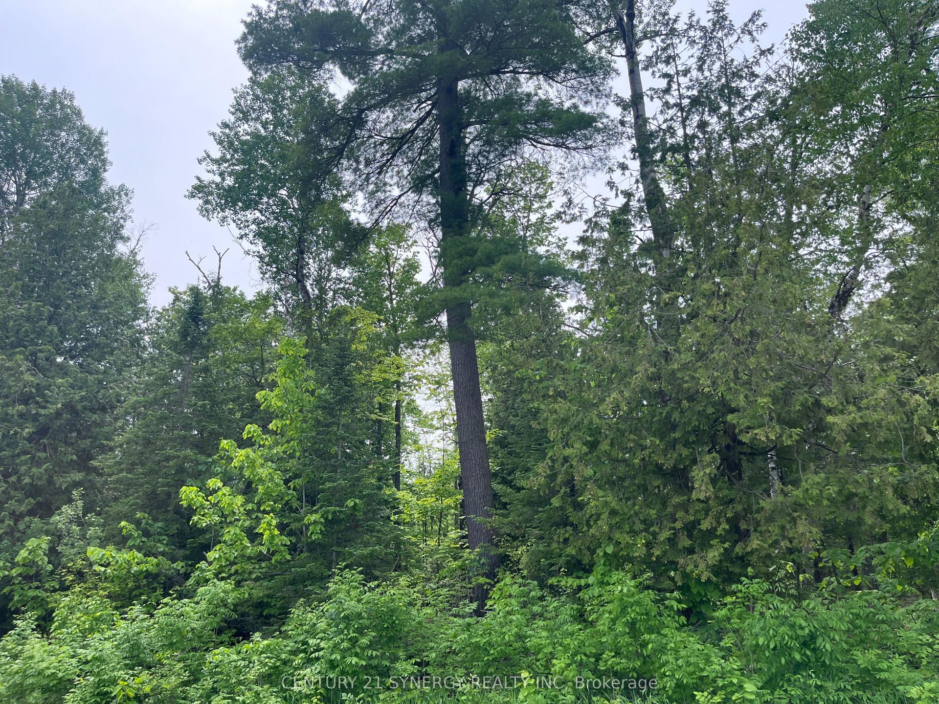 00 Bellamy Road, McNab/Braeside — Land for sale, photo 1