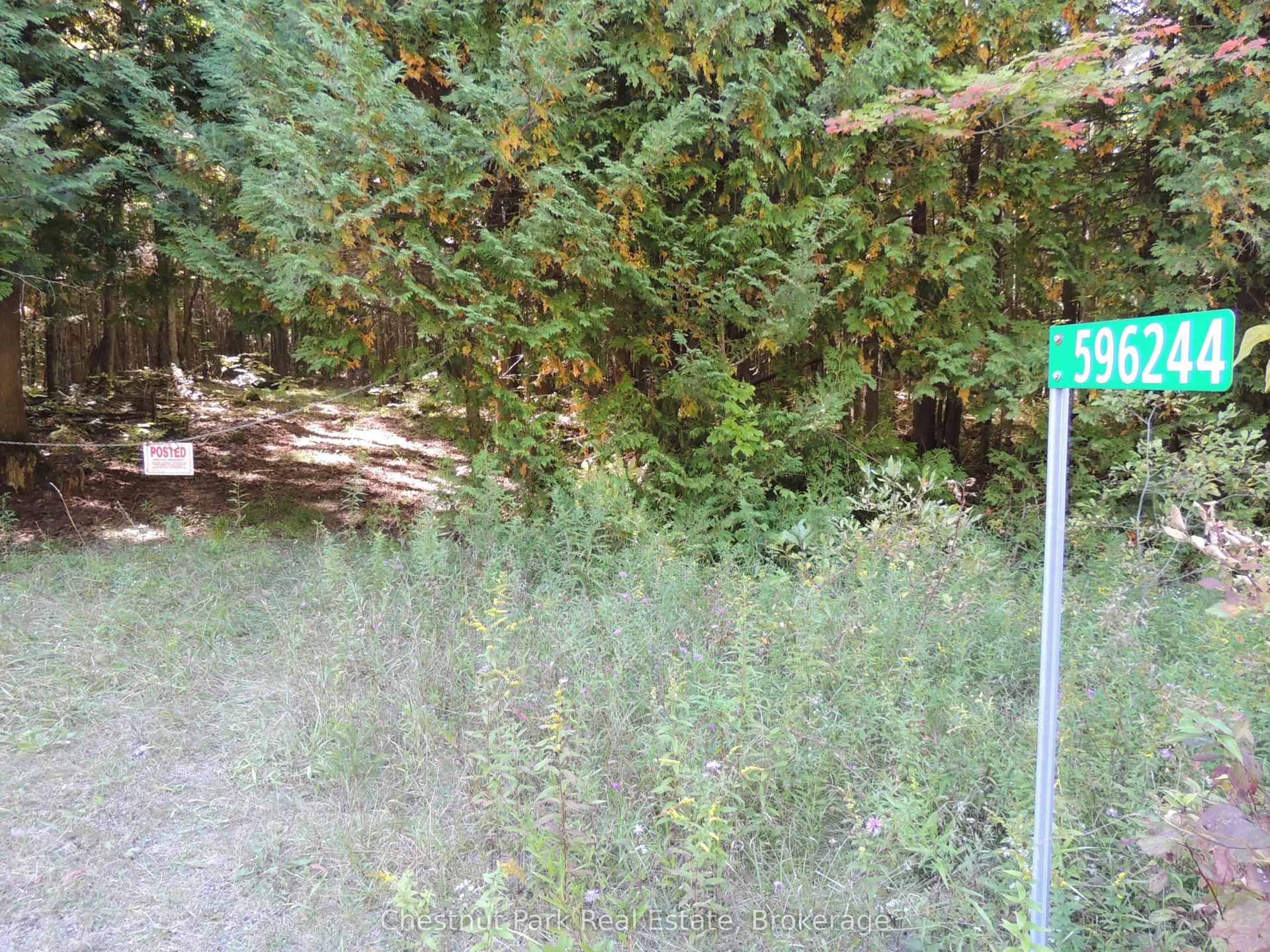 596244 Concession 10 N/A, Chatsworth — Land for sale, photo 1
