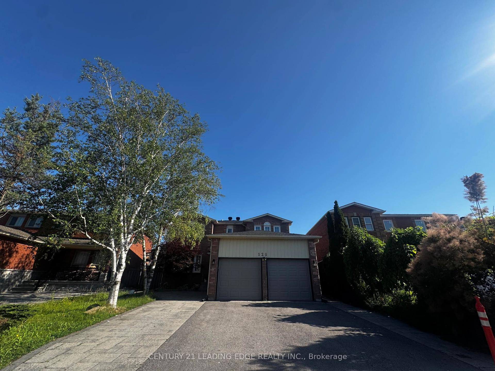 129 Bernard Avenue Bsmt #Bsmt, Richmond Hill — Detached for lease, photo 1