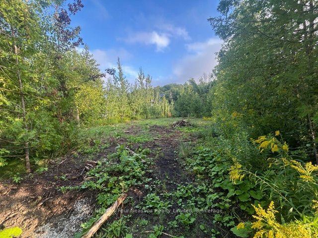 122 JAMES Street, Blue Mountains — Land for sale, photo 1